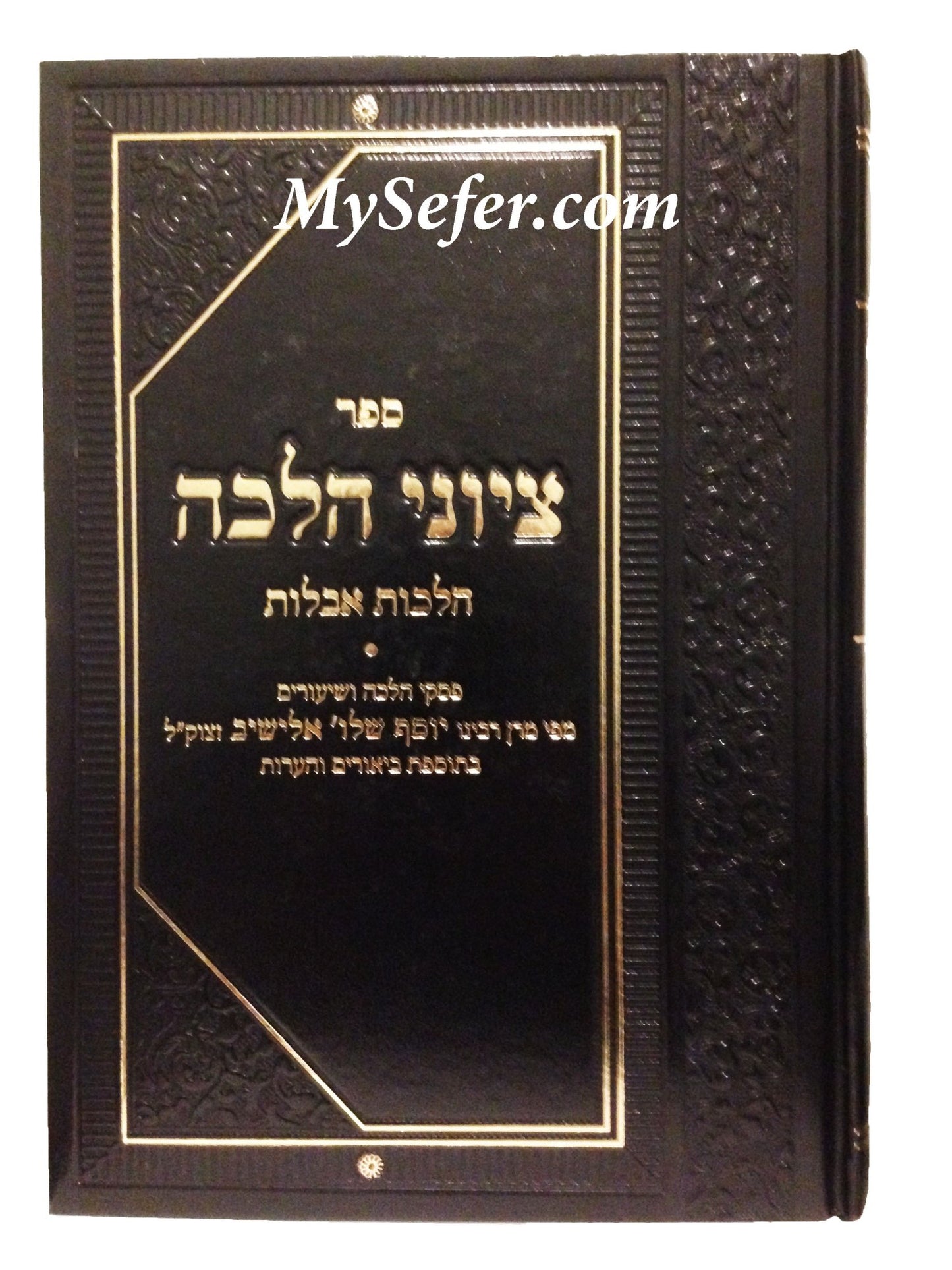 Sefer Tziyunei Halacha