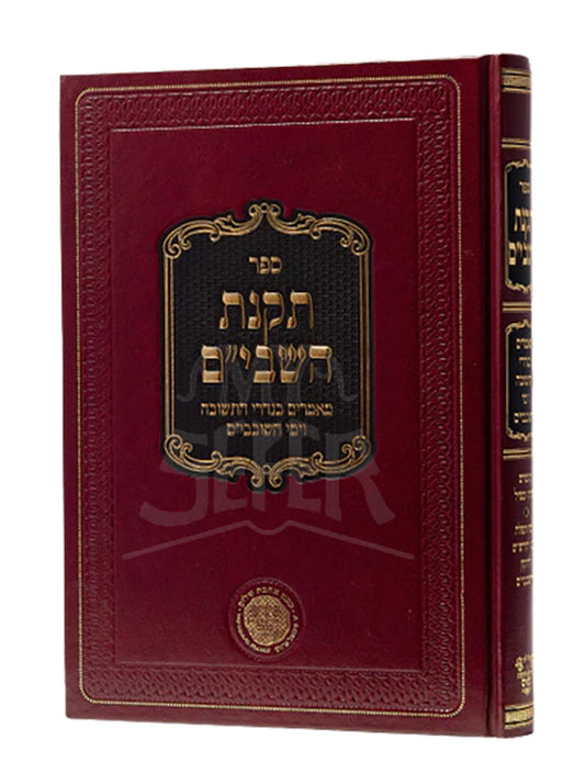Takanot Hashavim / ספר תקנת השביים