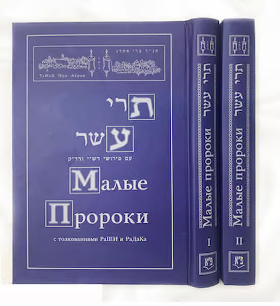 NaCh: Trei Asar, The Twelve Prophets with interpretations of Rashi and Radak (2 volumes).