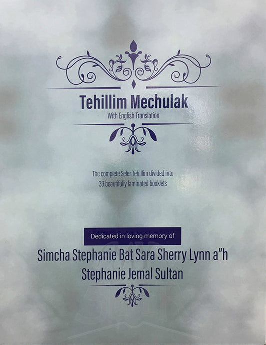 Large 9" x 12" H/E Tehillim Mechulak-- 39 Volume Set / תהילים המחולק