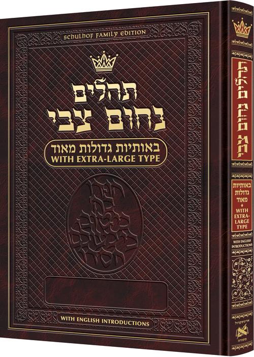 Tehillim Nochum Tzvi - Extra Large Type Tehillim - With English Introductions (Hardcover)