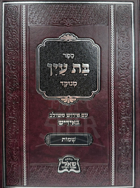 Bas Ayin - Bereshis - Yiddish