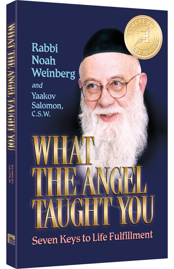 What the Angel Taught you Paperback