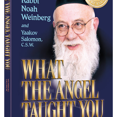 What the Angel Taught you Paperback (Mid Size Paperback)