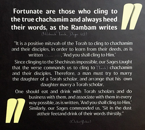 Reb Chaim Kanievsky, Glimpses of a Gadol B'Torah List (English)