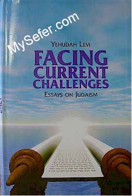 Facing Current Challenges - Essays on Judaism