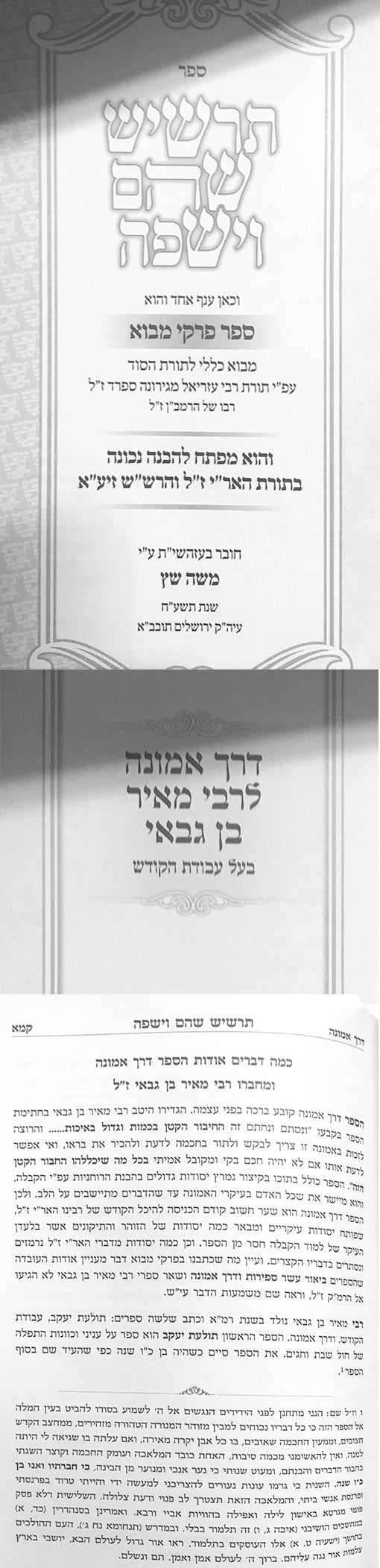 Tarshish Shoham ve'Yashfe / HaTzimtum ve'Hametziut (2 vol.)