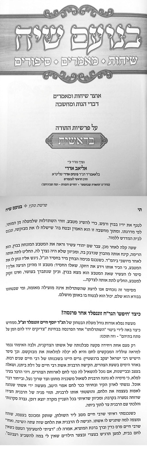 BeNoam Siach al HaTorah