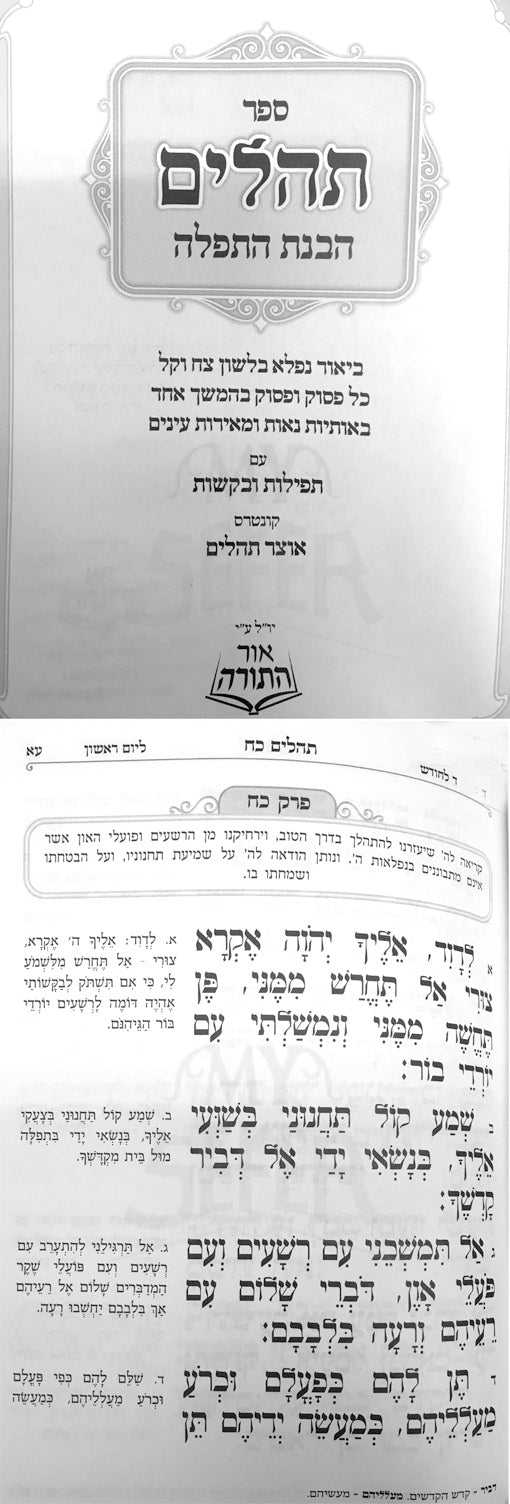 Tehillim Havanat HaTefilah