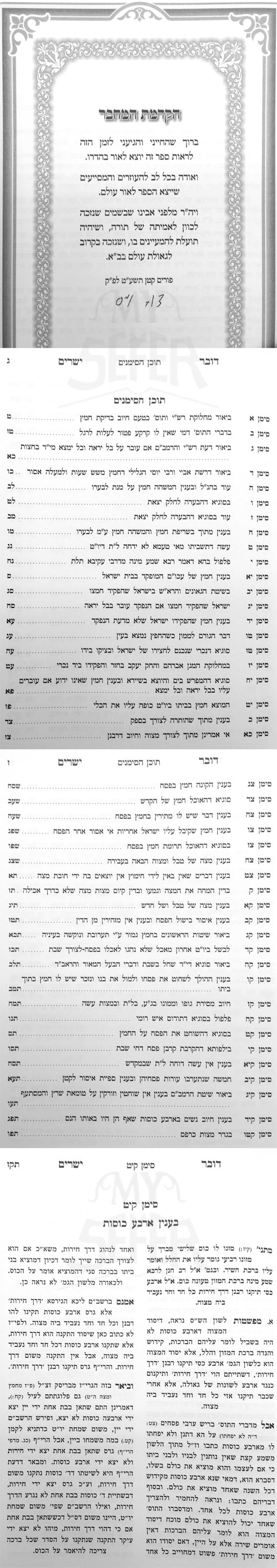 Dover Yesharim - Chidushim UBeurim ( Pesach )