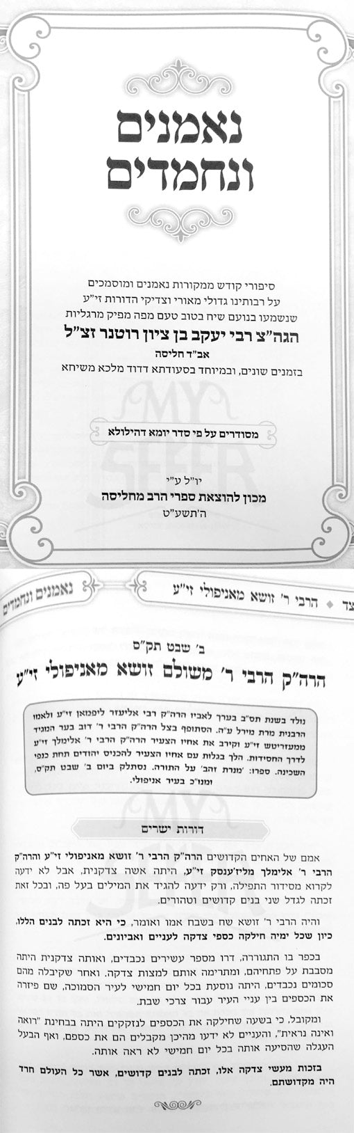 NeEManim VeNeChemadim