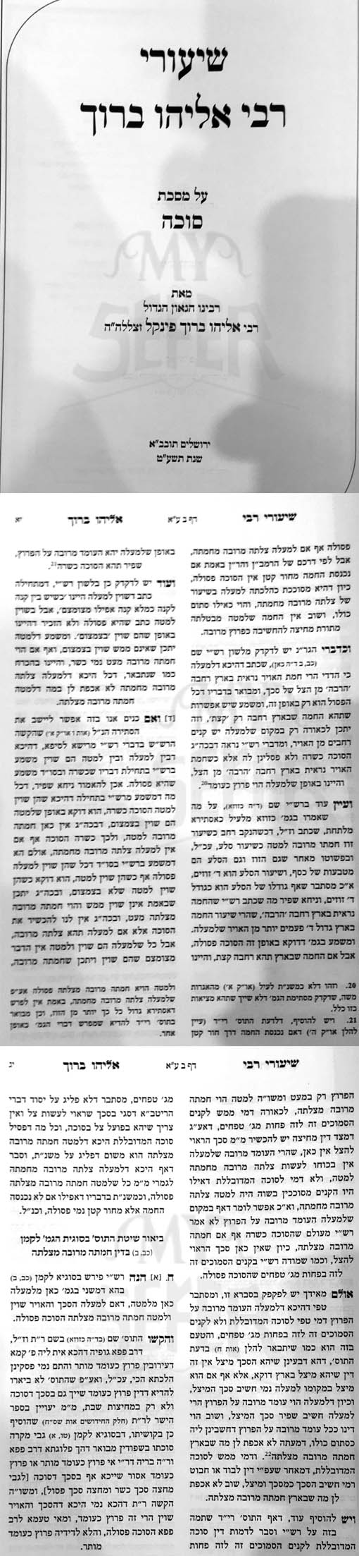 Shiurei Rabbi Eliyahu Baruch - Masechet Succah