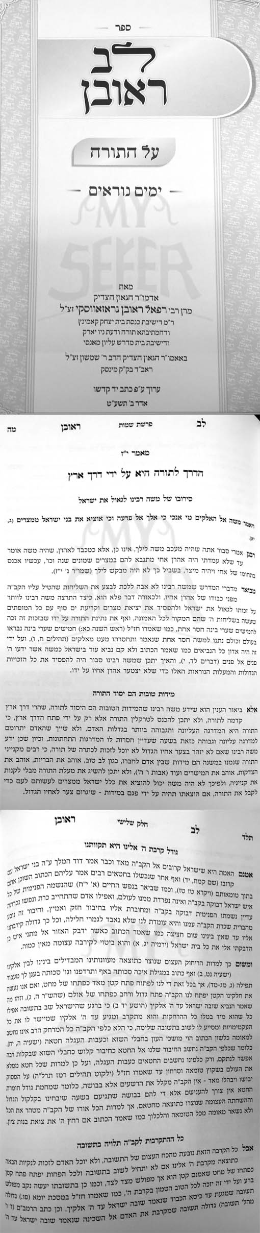 Lev Reuven al HaTorah and Yamim Noraim