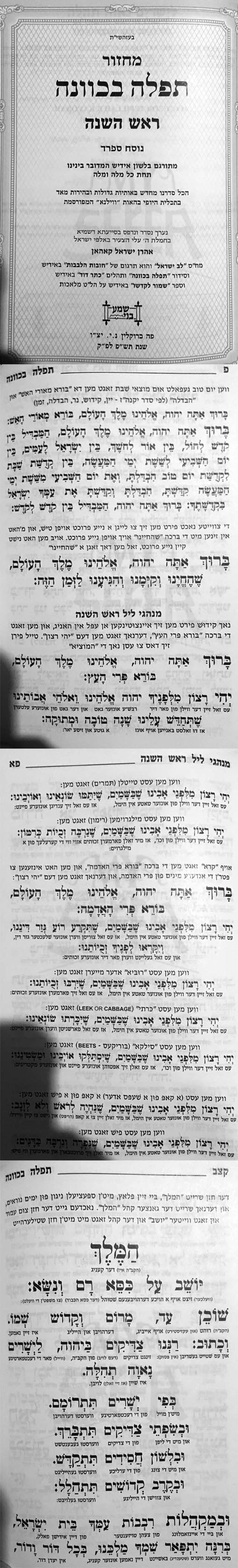 Machzor Tefillah BeKavanah : Sefard (hebrew/yiddish - small size)