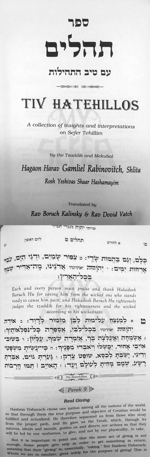 Tiv HaTehillos on Tehillim : Harav Gamliel Rabbinovitch