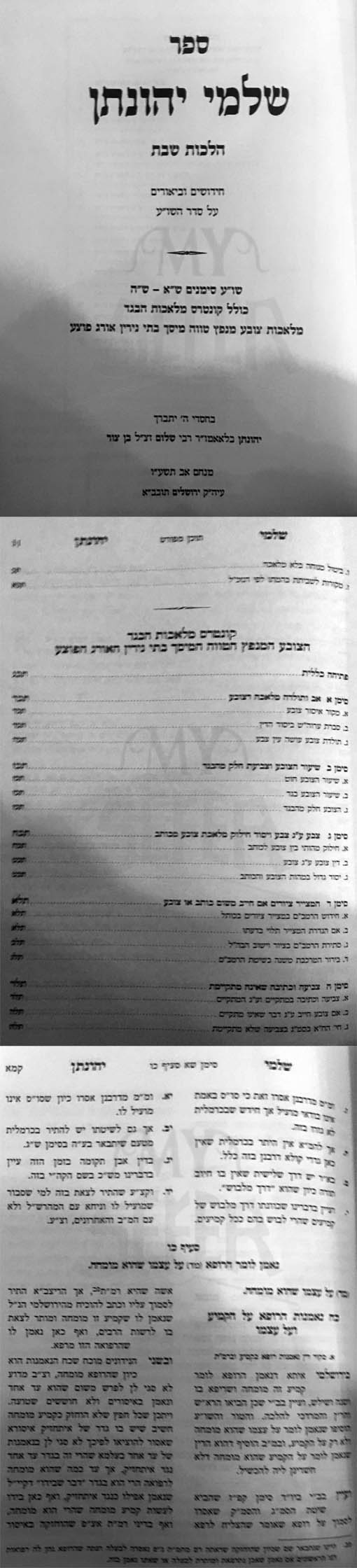 Shalmei Yehonatan Hilchot Shabbat (Simanim 301-305)