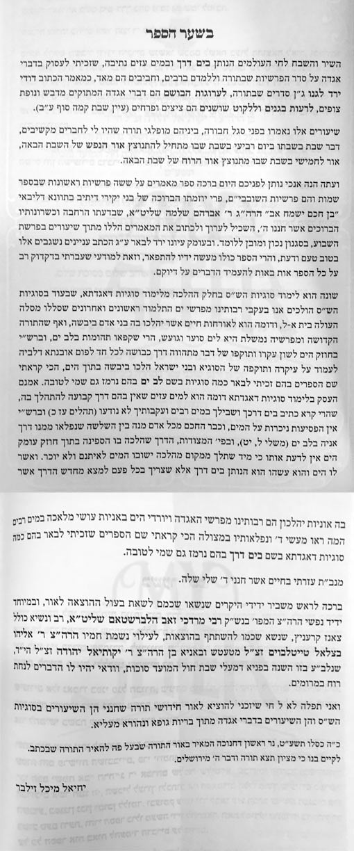 BeYam Derech - Shemot Vol.1