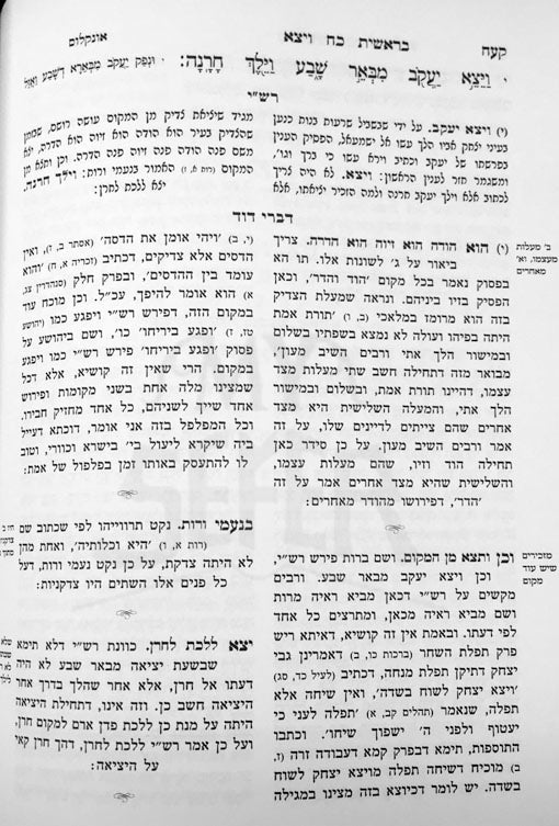 Divrei David all HaTorah - Rabbi David HaLevi Segal (2 Vol.)