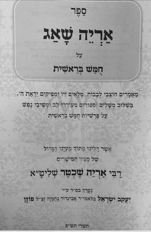Aryeh Shuag - Rav Aryeh Shechter (Bresheet)