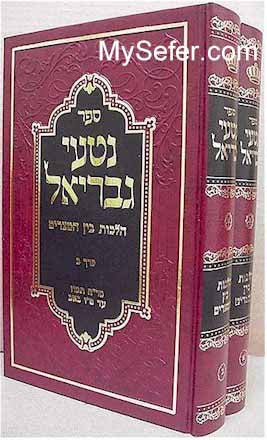 Nitei Gavriel - Halachot Bein HaMetzarim (Rosh Chodesh Tamuz to 15 of Av)
