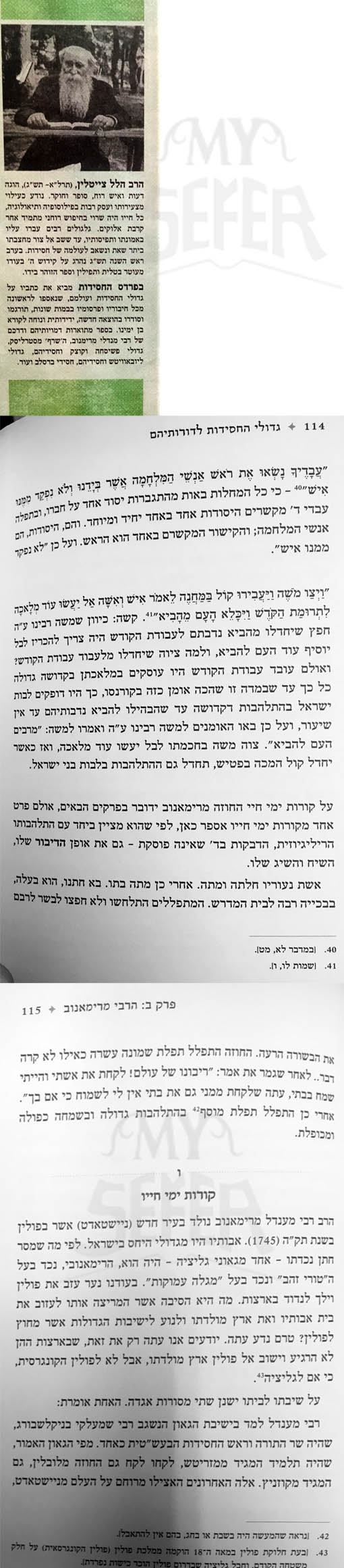 BePardes HaChasidut - Rabbi Hillel Tzeitlon