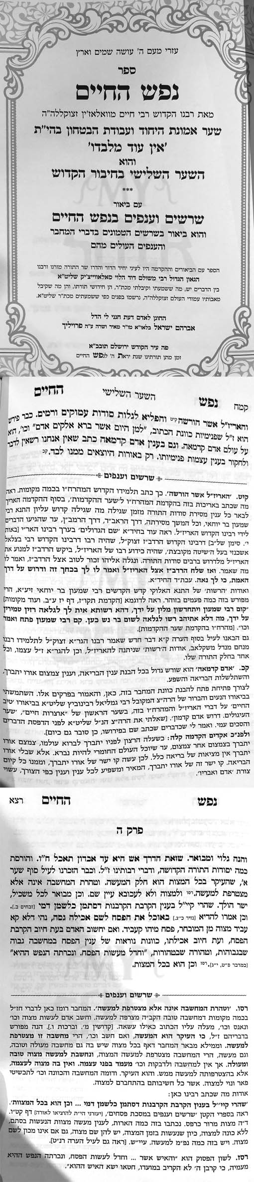 Nefesh HaChaim Perek 3 - Im Biurim Rabbi Meshulam Dovid HaLevi Salavachick