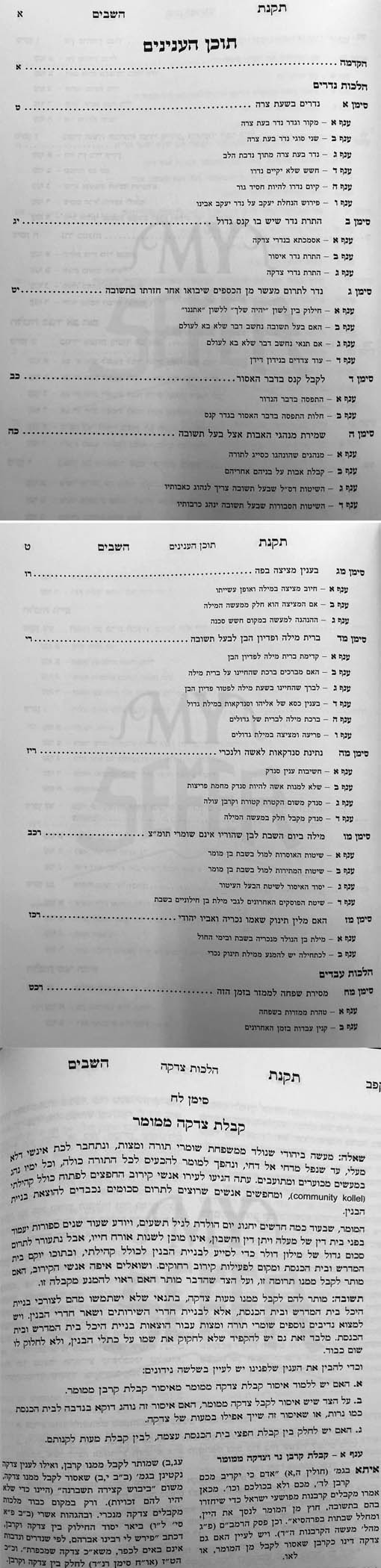 Takanat HaShavin - Sheelot UTeshuvot Hnogeim Lbalei Teshuvot