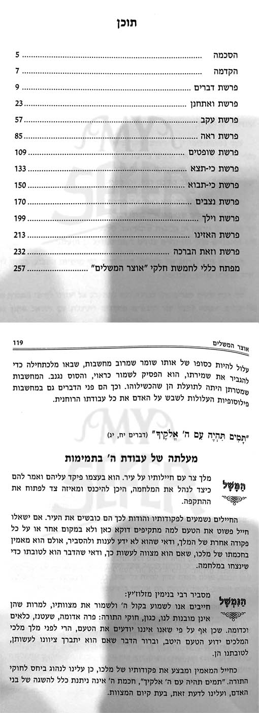 Otzar Hama Shalim al HaTorah