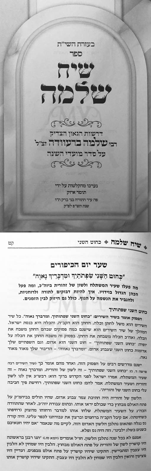 Siach Shlomo - Moadim (Rabbi Shlomo Brevda)