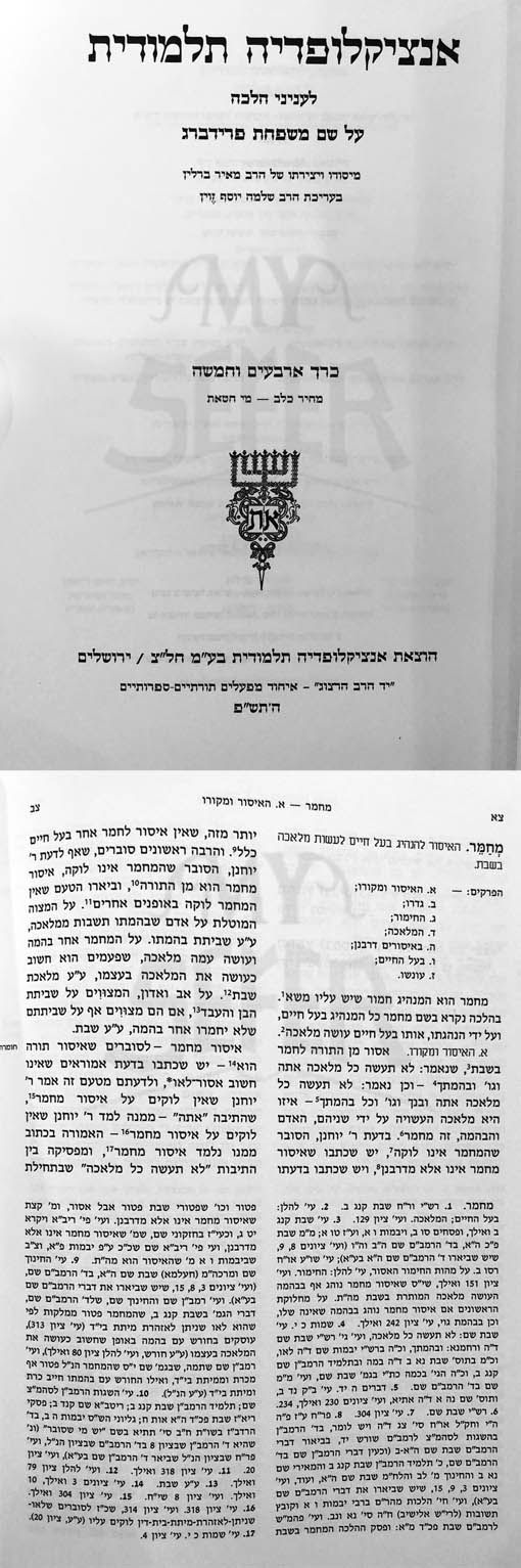 Talmudic Encyclopedia [Encyclopedia Talmudit] (Vol.45)