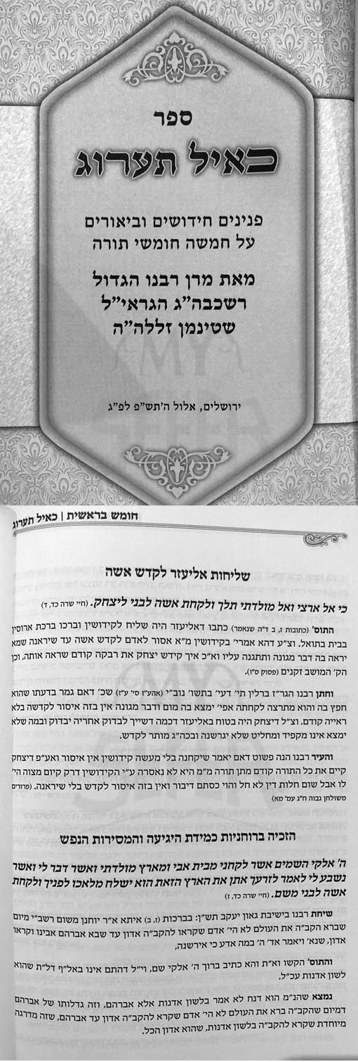 Kayal Taarog - Rabbi Aharon Yehuda Leib Shteinman (Torah)