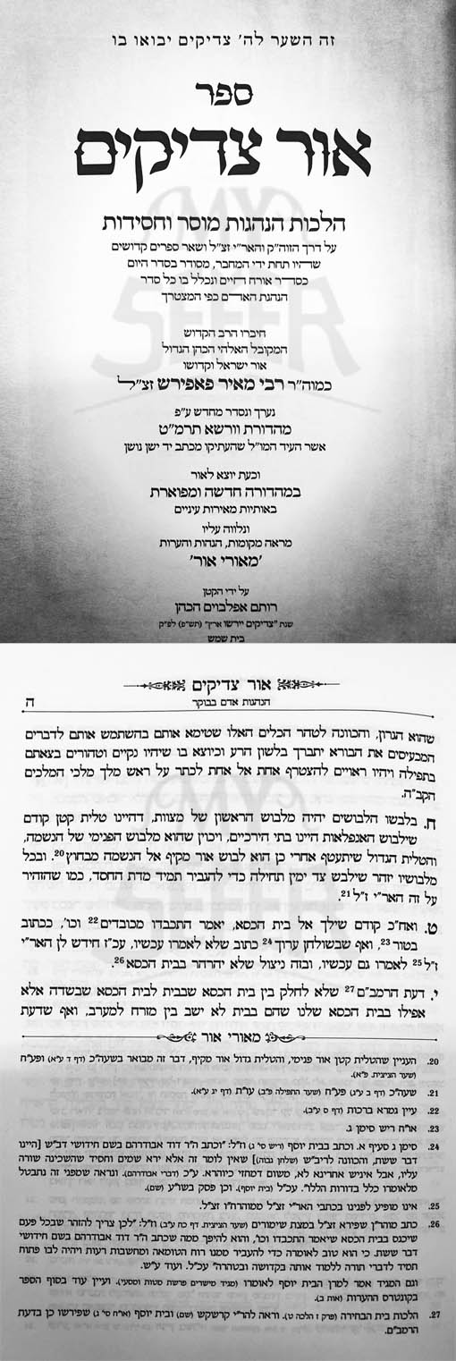 Ohr Tzaddikim - Rabbi Meyer Paprosh