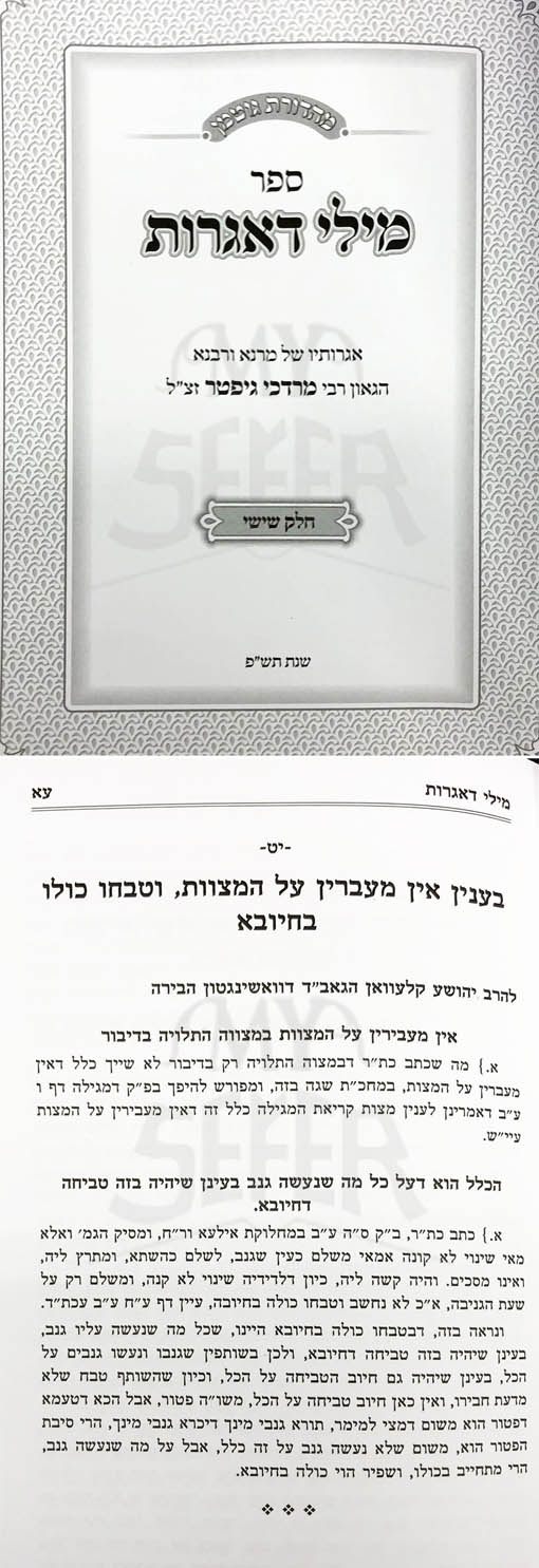 Mili Delgrot Michtivei Torah : Rabbi Mordechai Gifter