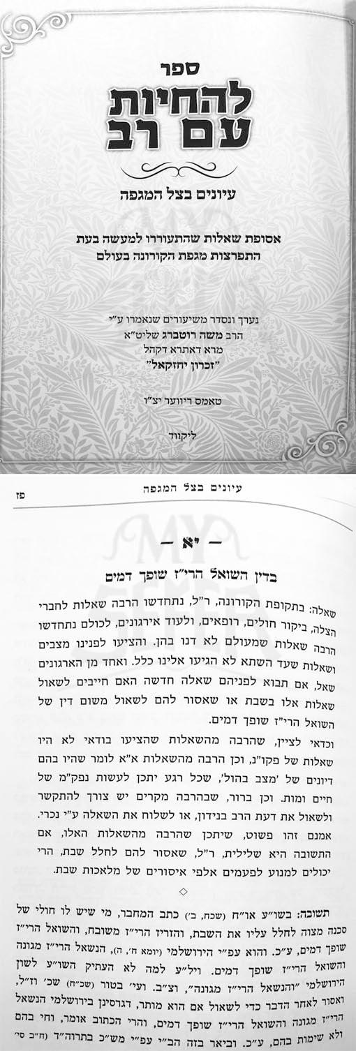LeHachayot Am Rav - Iyunim Bitzel HaMageifah