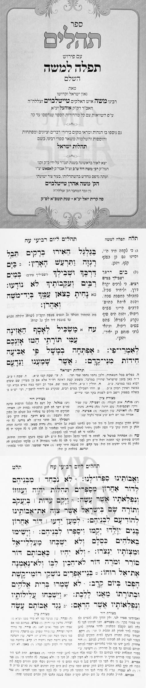 Tehillim Im Pirush Tefillah L'Moshe (Midsize)