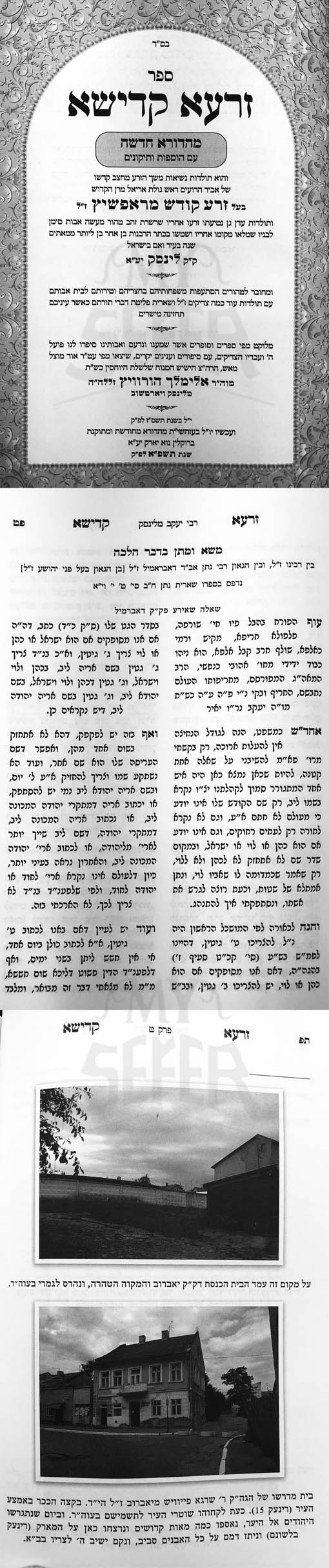 Zarah Kadisha - Rapshitz