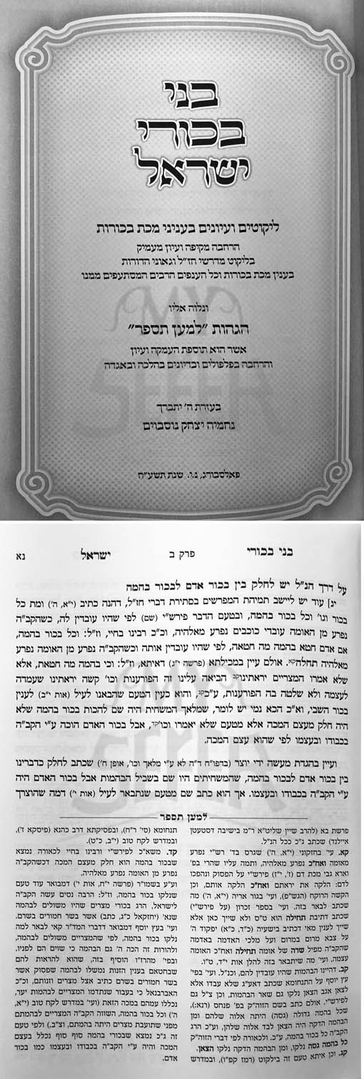 Bni Beckart Yisrael