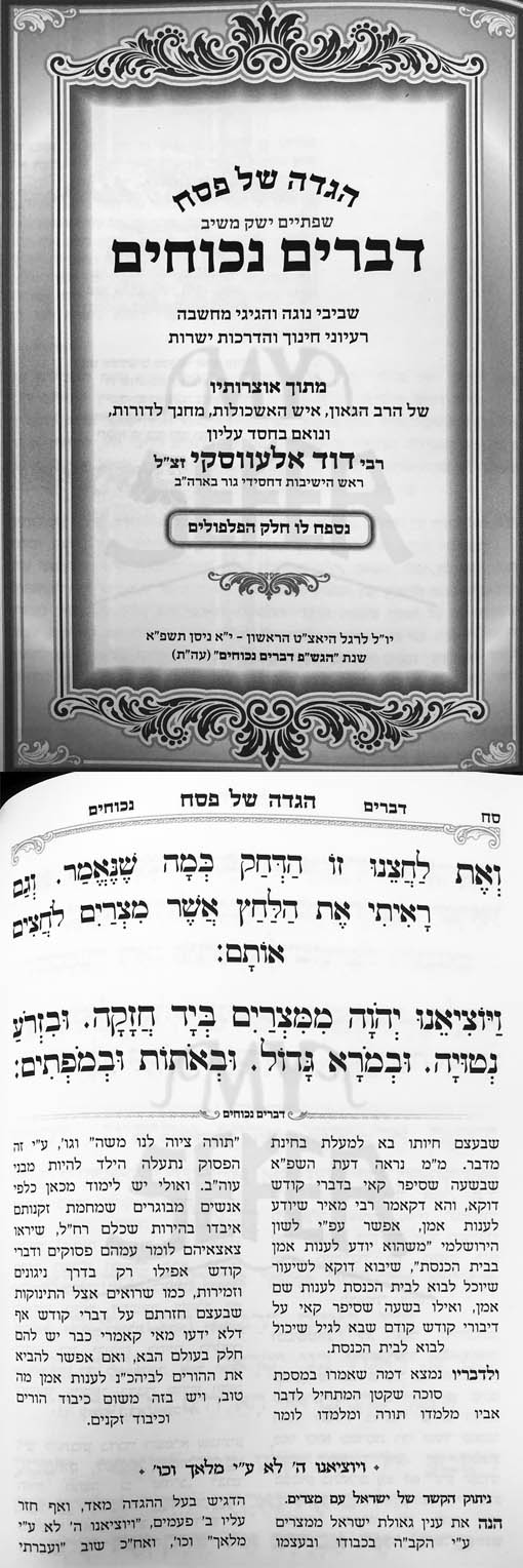 Haggadah - Devarim Nechochim