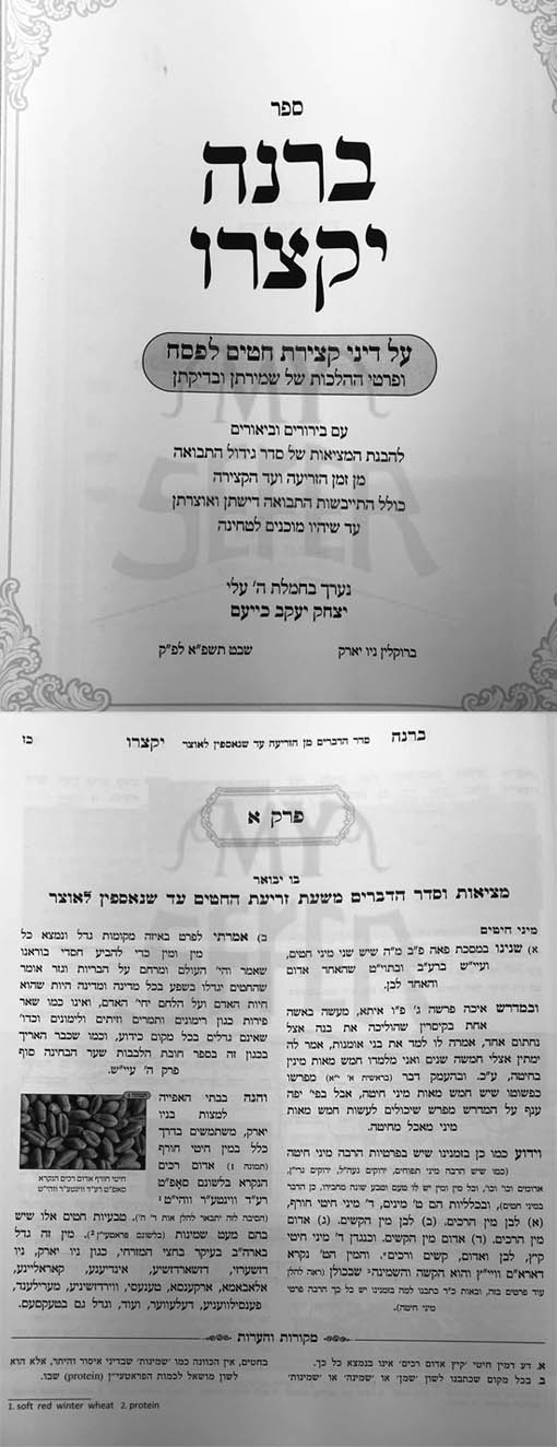 Brinah Yiktzoru - Hilchot Chitin