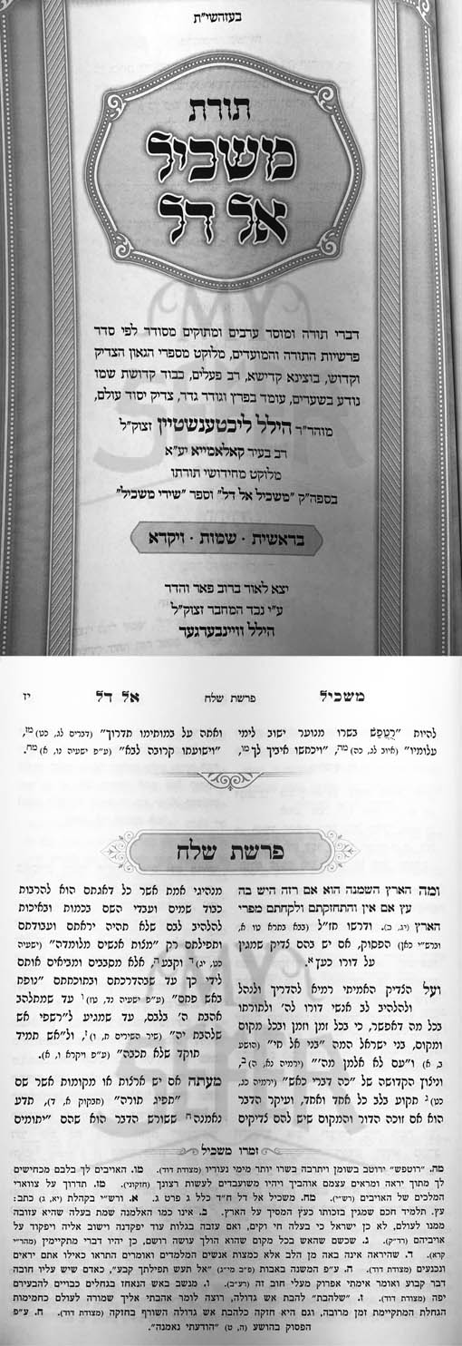 Torat Maskil El Dal al HaTorah