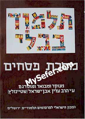 Talmud Bavli (Steinsaltz Edition) - Vol. 7: PESACHIM II