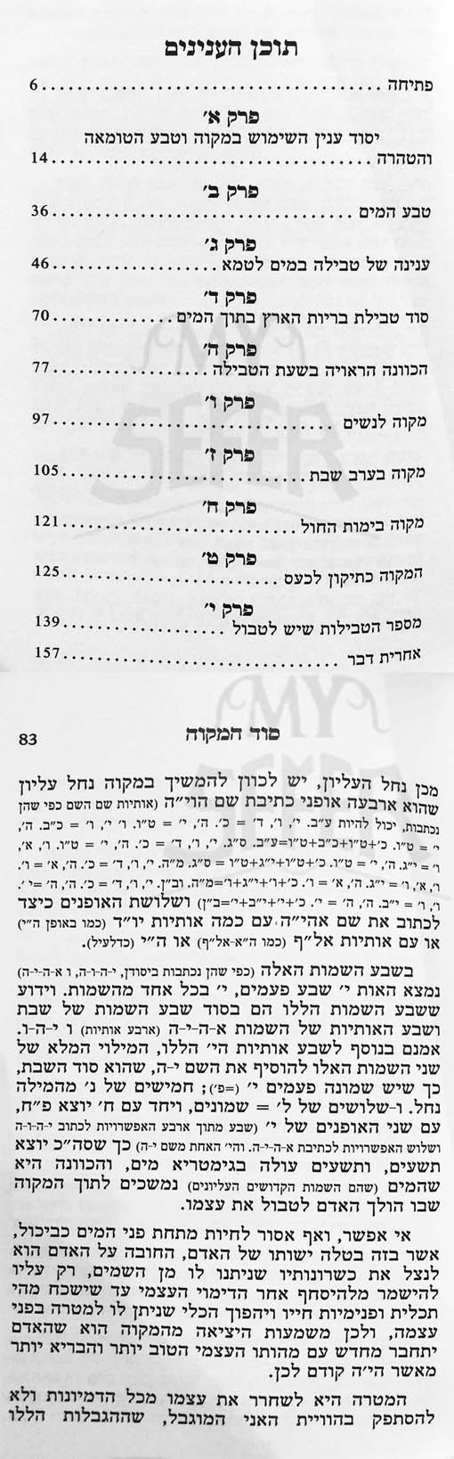 Sod HaMikvah - HaRav DovBer Pinson