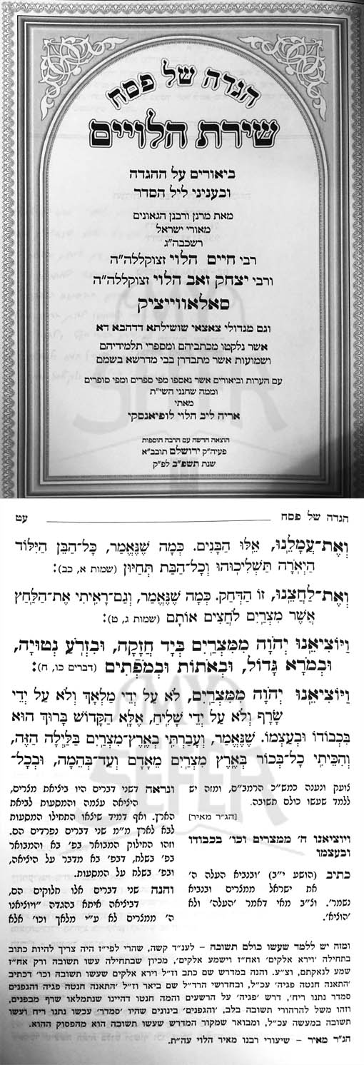 Haggadah Shirat HaLviyim - Brisk (New Edition 5882 ED)