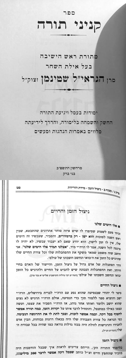 Kinyanei Torah - Rav Shteinman