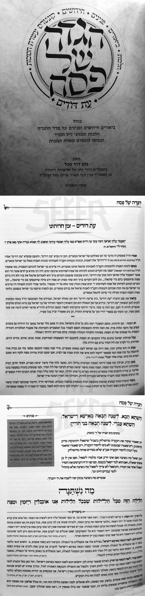 Haggadah - Et Dodim