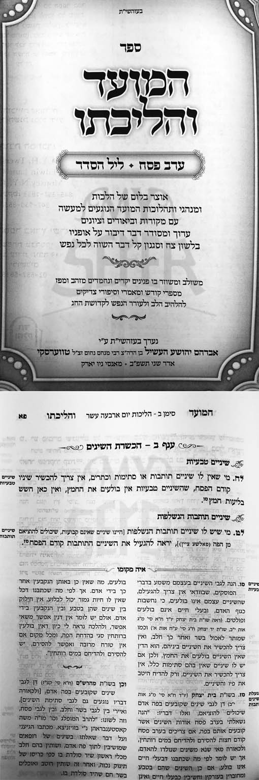 HaMoed VHalichato - Pesach