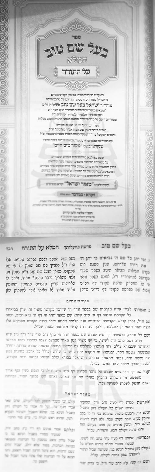 Baal Shem Tov HaAmalei - Vayikra and Bamidbar