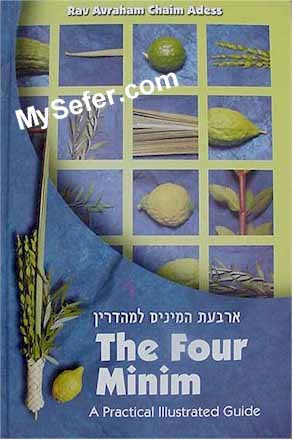 The Four Minim: A Practical Illustrated Guide