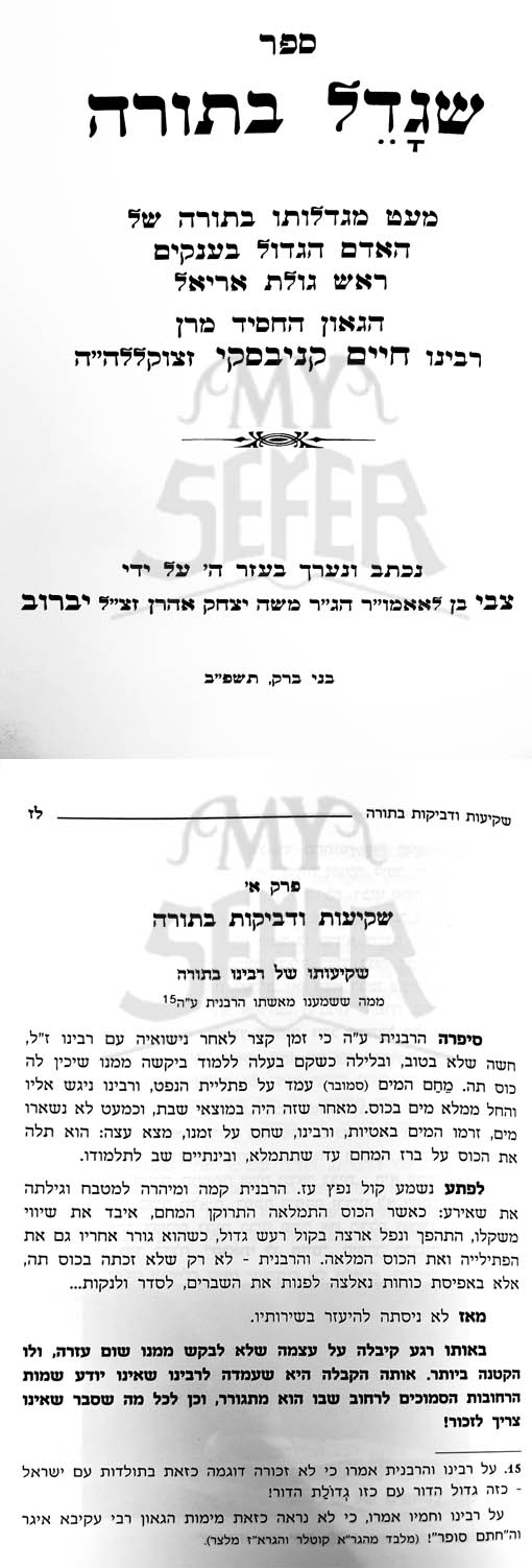 Ashrei Mi Shegadeil Batorah - Rabbi Chaim Kanievsky
