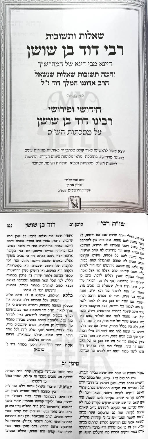 Sheelot UTeshuvot - Rabbi Dovid Ben Shoshan